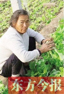 收留流浪老人一個月 鄭州“蘿卜哥”發微博幫其尋親 收留流浪老人一個月 鄭州“蘿卜哥”發微博幫其尋親