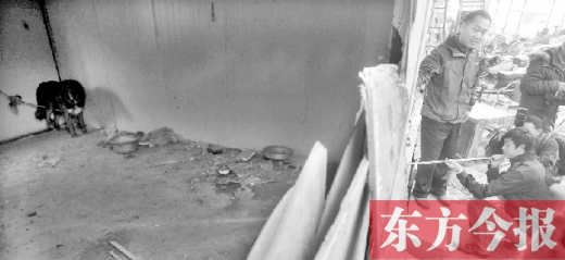 12月4日,鄭州市未來路與隴海路交叉口西側,執法人員用吹管麻醉針對付一只藏獒 12月4日,鄭州市未來路與隴海路交叉口西側,執法人員用吹管麻醉針對付一只藏獒