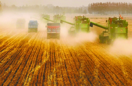 田里，一臺臺收割機唱著豐收歌。