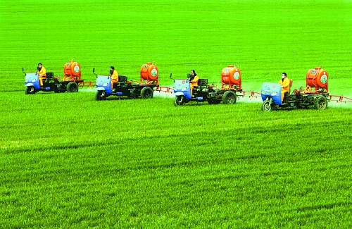 車載噴霧機奔駛在萬畝高產田里。