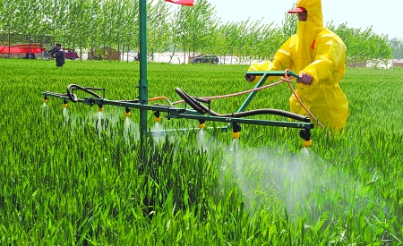 河南省扶溝縣韭園鎮農民在示范基地內進行麥田施肥作業