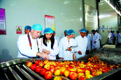 三門峽蘋果拿到加拿大市場“通行證” 三門峽蘋果拿到加拿大市場“通行證”
