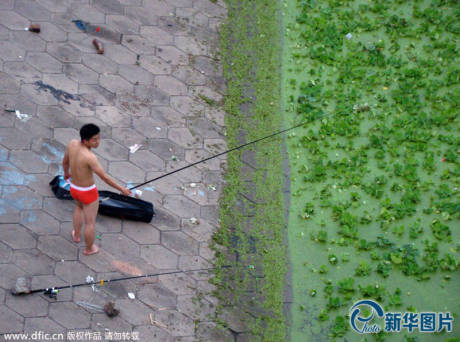 武漢漢江浮萍泛濫變“草原” 武漢漢江浮萍泛濫變“草原”