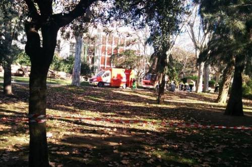 西班牙男子跳進動物園獅子山 西班牙男子跳進動物園獅子山