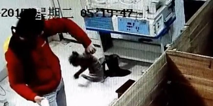 動物園飼養員被曝虐待新生華南虎 動物園飼養員被曝虐待新生華南虎