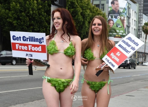 美國街頭 美國街頭