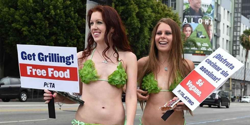 美國街頭 美國街頭