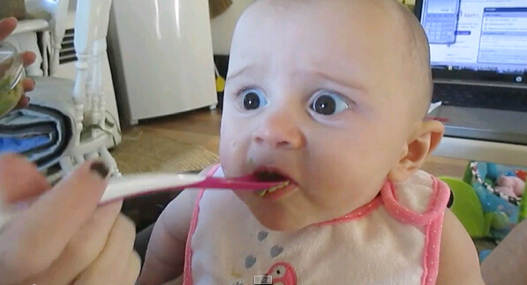 外國寶寶初嘗鱷梨表情萌翻網友 外國寶寶初嘗鱷梨表情萌翻網友