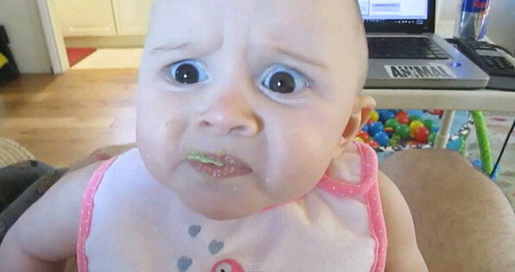 外國寶寶初嘗鱷梨表情萌翻網友 外國寶寶初嘗鱷梨表情萌翻網友