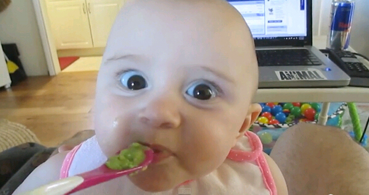 外國寶寶初嘗鱷梨表情萌翻網友 外國寶寶初嘗鱷梨表情萌翻網友