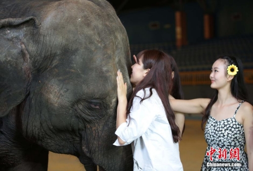 學(xué)生參加校花校草大賽 穿比基尼秀身材 學(xué)生參加校花校草大賽 穿比基尼秀身材