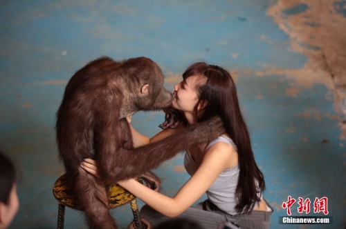 學(xué)生參加校花校草大賽 穿比基尼秀身材 學(xué)生參加校花校草大賽 穿比基尼秀身材