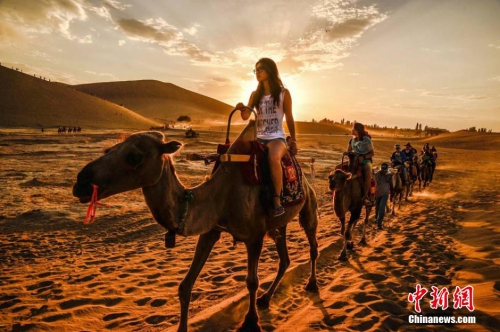 敦煌出現火燒云 晚霞駝影相映成趣