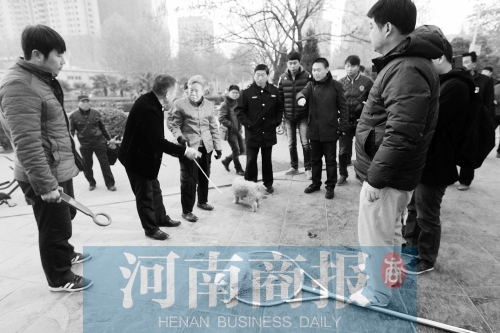 一只辦過(guò)狗證的小白狗，因?yàn)闆]有拴犬鏈，被執(zhí)法人員暫扣
