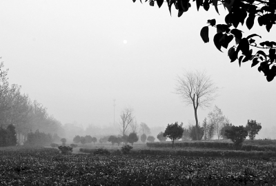 3月26日上午8點,鄭大新校區,濃濃的霧霾埋沒了大好春景。 3月26日上午8點,鄭大新校區,濃濃的霧霾埋沒了大好春景。