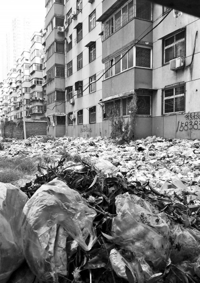 透過擋板縫向內看,30多米垃圾已經將居民樓包圍。 透過擋板縫向內看,30多米垃圾已經將居民樓包圍。