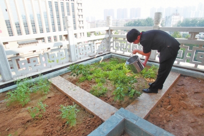 鄭州某酒店在樓頂打造的菜園子，服務員正在澆水。