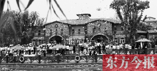 公款不再捧場 年歷訂單銳減近八成 公款不再捧場 年歷訂單銳減近八成