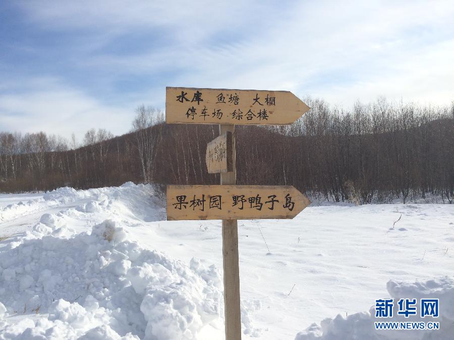 穗豐園里的標識牌(2013年12月8日攝)。新華社記者王子辰攝 穗豐園里的標識牌(2013年12月8日攝)。新華社記者王子辰攝