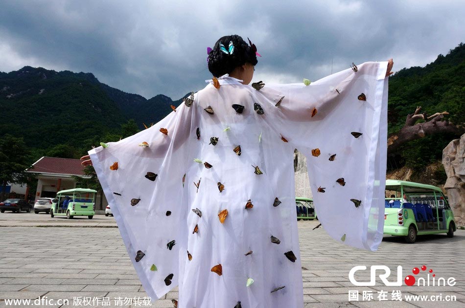 “蝴蝶仙子”身穿上百只剛剛扎死的蝴蝶。圖片來源:老祝/東方IC “蝴蝶仙子”身穿上百只剛剛扎死的蝴蝶。圖片來源:老祝/東方IC