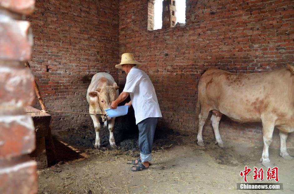 同時,地下水位的持續下降以及部分山泉水的干涸,已造成全縣2.85萬人和2000頭大牲畜出現飲水困難。 同時,地下水位的持續下降以及部分山泉水的干涸,已造成全縣2.85萬人和2000頭大牲畜出現飲水困難。