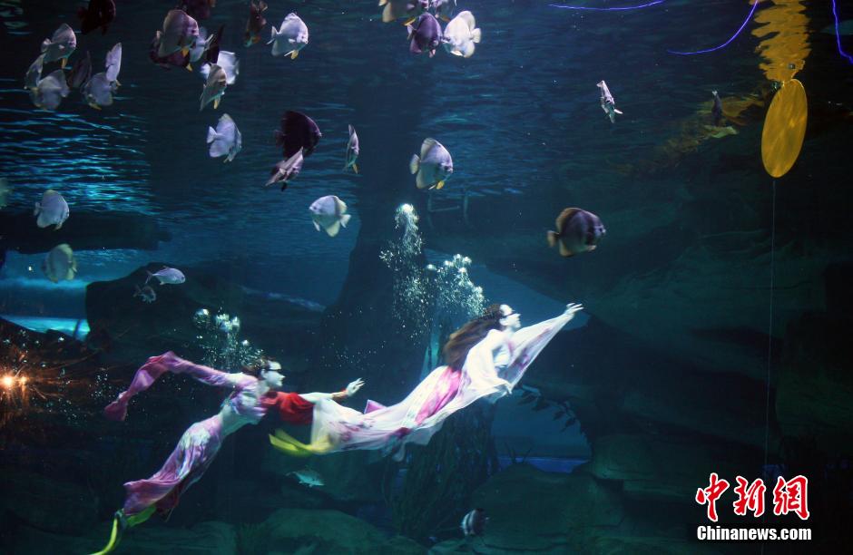 9月7日，在中秋節到來前一天，山東泉城海洋極地世界為游客帶來“嫦娥水中奔月”表演。