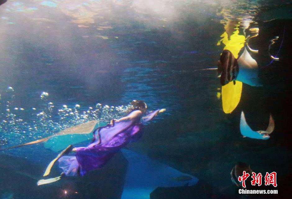 9月7日，在中秋節到來前一天，山東泉城海洋極地世界為游客帶來“嫦娥水中奔月”表演。