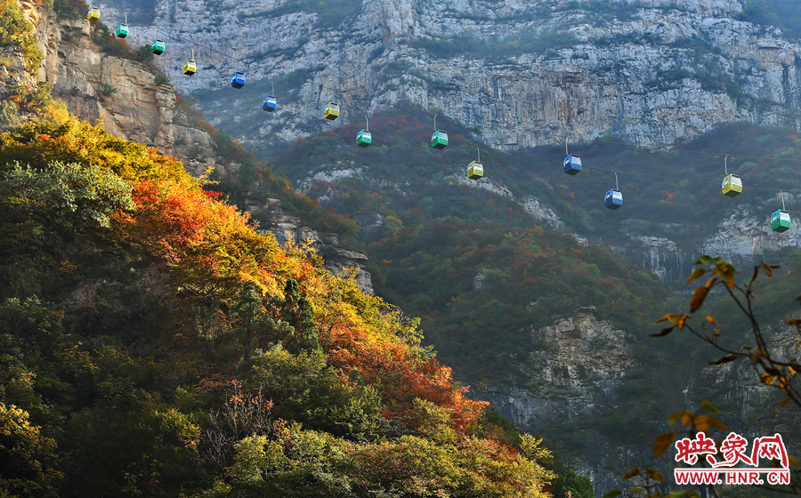 索道下的山坡,陽光灑在色彩繽紛的樹葉上 索道下的山坡,陽光灑在色彩繽紛的樹葉上
