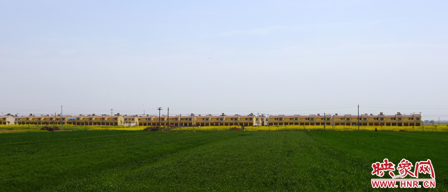 淅川縣十里廟村的移民新村一副欣欣向榮景象 淅川縣十里廟村的移民新村一副欣欣向榮景象