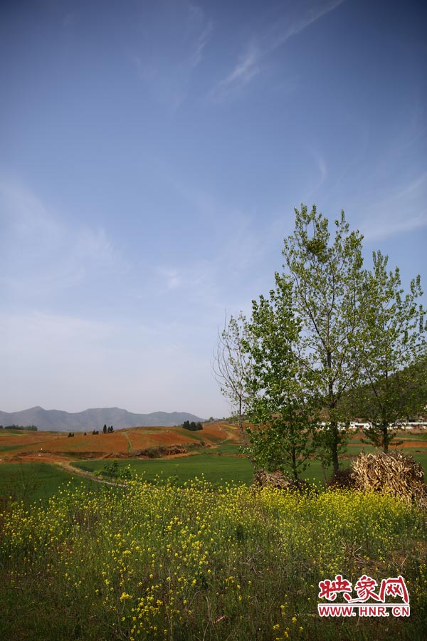 庫區(qū)的藍(lán)天、白云、綠樹、黃花給人清新的享受 庫區(qū)的藍(lán)天、白云、綠樹、黃花給人清新的享受