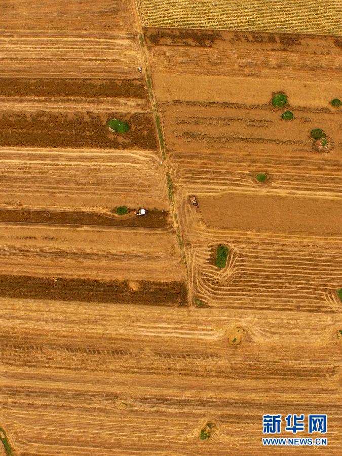 這是5月28日在河南省南陽市唐河縣甘河灣村航拍的麥收現場。