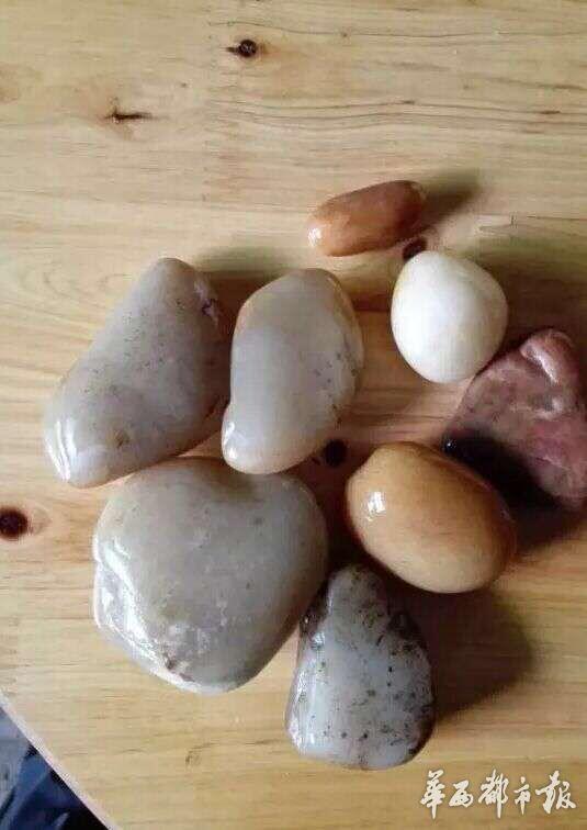 四川瀘州上演“瘋狂的石頭” 數百人河灘淘寶 四川瀘州上演“瘋狂的石頭” 數百人河灘淘寶