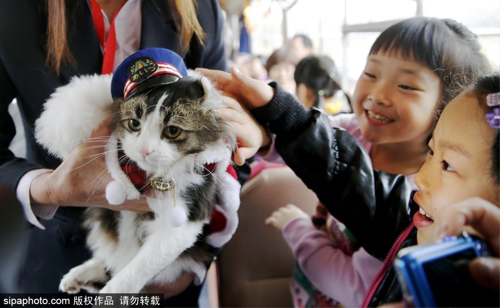 日本福島縣實習貓站長Love上任 日本福島縣實習貓站長Love上任