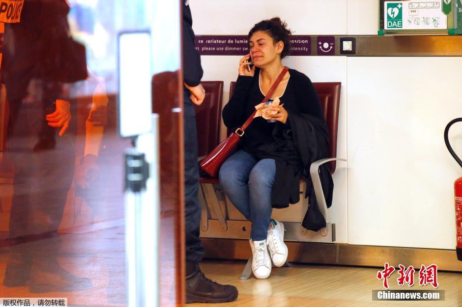 載66人埃航失聯客機墜毀 同線航班當晚照常起飛 載66人埃航失聯客機墜毀 同線航班當晚照常起飛