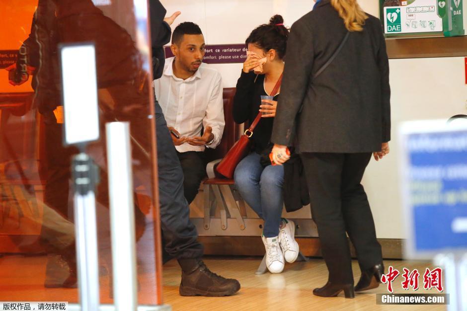 載66人埃航失聯客機墜毀 同線航班當晚照常起飛 載66人埃航失聯客機墜毀 同線航班當晚照常起飛