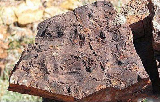 西澳發現地球古老生命:散發臭雞蛋味道的細菌 西澳發現地球古老生命:散發臭雞蛋味道的細菌