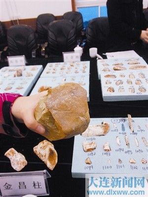 大連發現古人類活動遺址 或與周口店猿人同時代