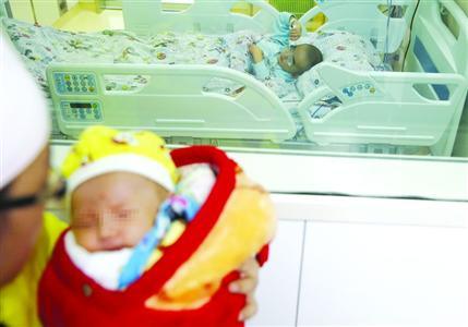 4歲男童移植骨髓前遇悔捐 出生35天妹妹代替 4歲男童移植骨髓前遇悔捐 出生35天妹妹代替