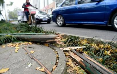 事發現場,嫌疑車輛撞壞的木樁。 事發現場,嫌疑車輛撞壞的木樁。