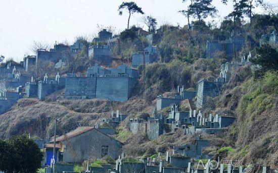 浙江紹興墓群為復綠遭刷綠漆 當地稱因難種樹(圖)