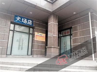 寵物店關門 我家生病的狗狗去哪兒了 寵物店關門 我家生病的狗狗去哪兒了