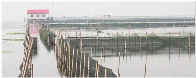 001-001.thumb_head 001-001.thumb_head