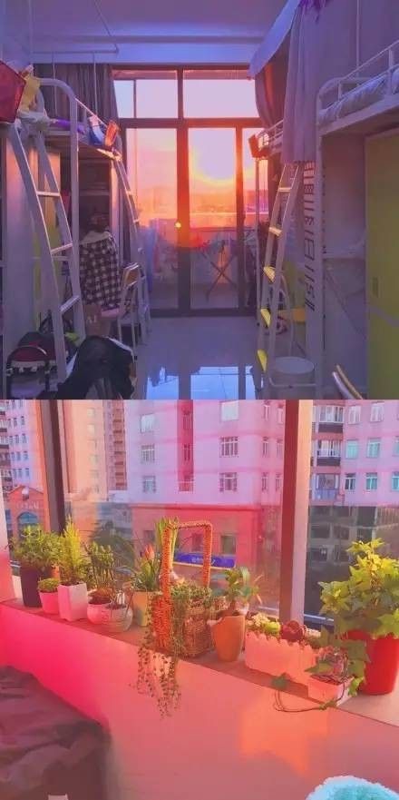 這個(gè)學(xué)校的男生宿舍火了！女同學(xué)都喊著要嫁