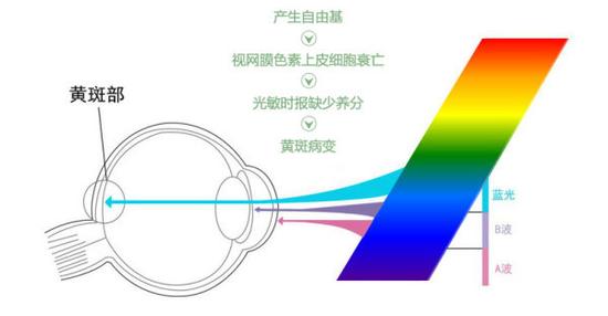 真能亮瞎眼?如何減少手機對眼睛的傷害 真能亮瞎眼?如何減少手機對眼睛的傷害