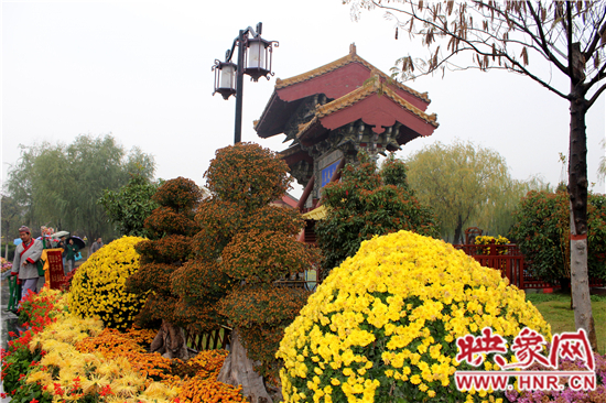 天好、花美 中國開封第32屆菊花文化節(jié)延長一周 天好、花美 中國開封第32屆菊花文化節(jié)延長一周