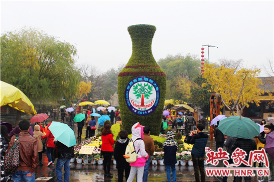 天好、花美 中國開封第32屆菊花文化節(jié)延長一周 天好、花美 中國開封第32屆菊花文化節(jié)延長一周