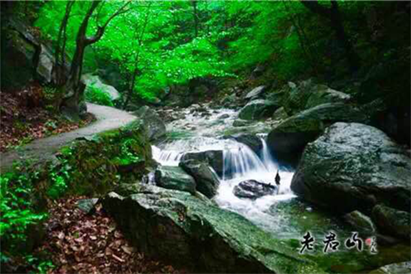 老君山第四屆中原車(chē)友狂歡節(jié) 激情房車(chē)派對(duì) 老君山第四屆中原車(chē)友狂歡節(jié) 激情房車(chē)派對(duì)