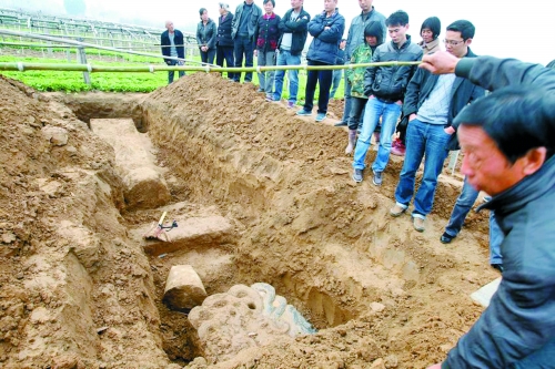 碑帽、赑屃、碑座、碑身依次排開 碑帽、赑屃、碑座、碑身依次排開