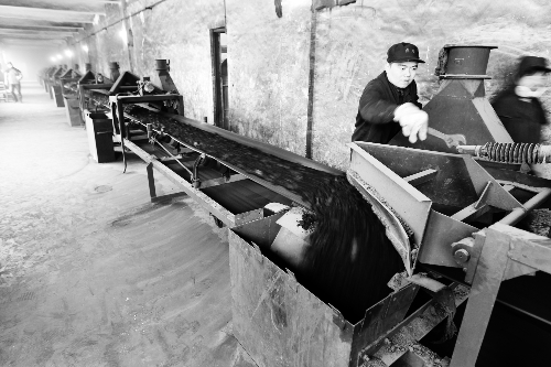 供熱鍋爐已經開始進煤 供熱鍋爐已經開始進煤