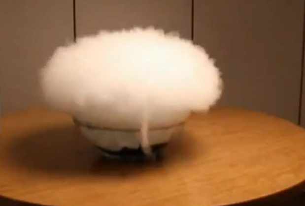 車內放了它 撂翻兩個人